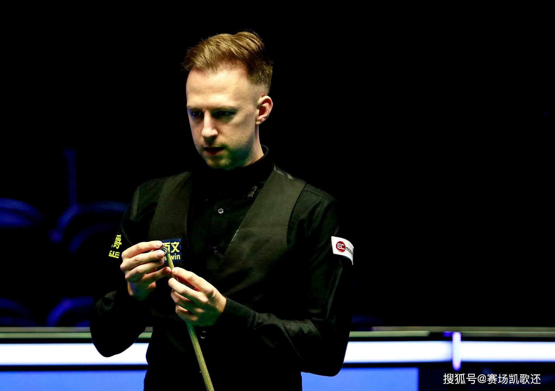 鸟的能力不 鸟的能力不