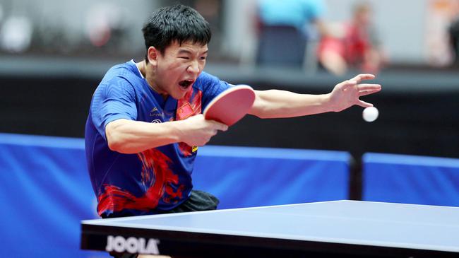 球迷们津津 球迷们津津